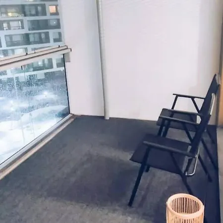 New Zebra Near Airport