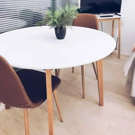 New Zebra Near Airport Apartment *