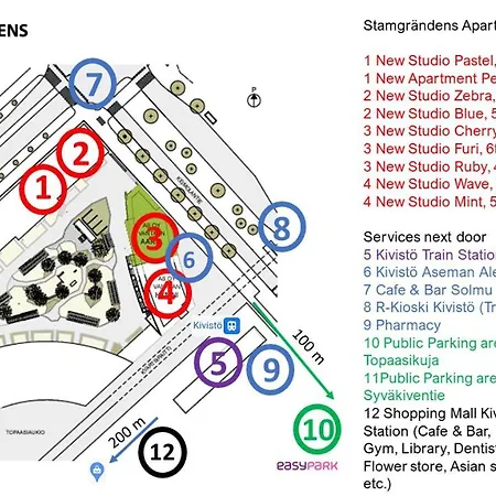 New Zebra Near Airport