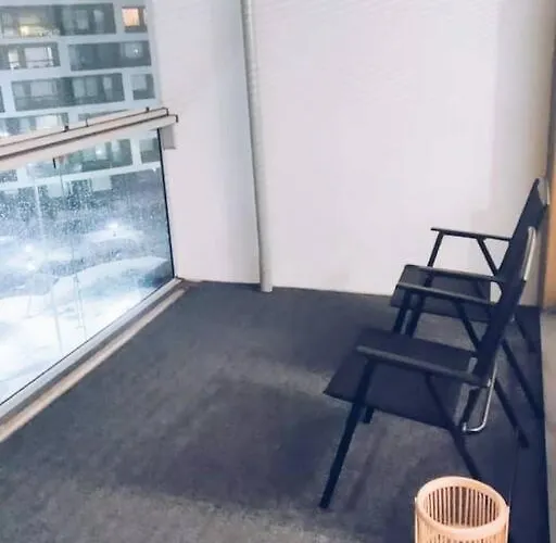 New Zebra Near Airport