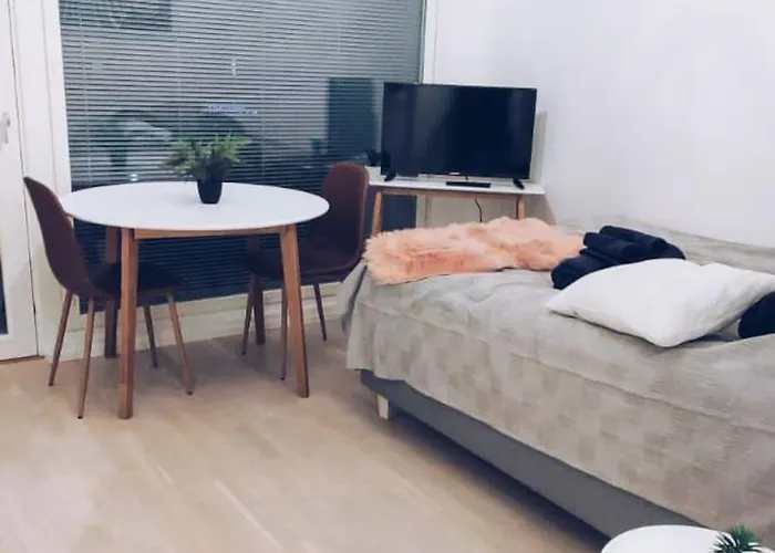 New Zebra Near Airport Huoneisto *